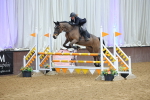 SBM_010182