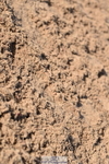 231015A-103418-07253