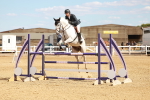 SBM_007351