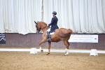 SBM_008947