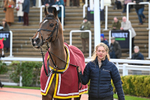 121225-Race 6-Statuario-6549