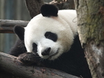 CHINA__0080