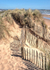 DW44 - Sand Dunes Dawlish Warren