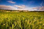 Mdina