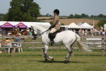 SBM_07617