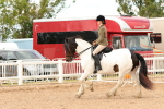 SBM_15669