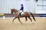 SBM_005161