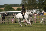 SBM_07595