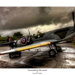 'Grounded by the storm' (Limited edition)