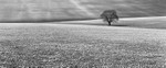 On Salisbury Plain  EDC 090