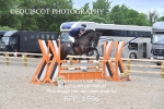 BPP_1596