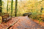 IMG_1978_ Lake District