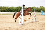 SBM_008690