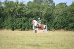 WJ6_2652