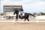 SBM_04853