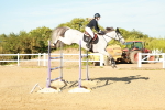 SBM_003429