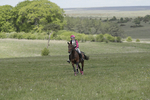 BVHT 140517  IXC -241