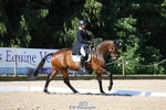 354-TREWORDER-Michael_Owen-WEDTrotUp+DR portfolio