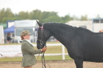 SBM_07906