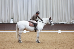 SBM_003536