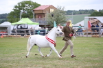 SBM_09907