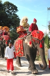 Elephant Conservation Center - Thailand