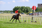 080726-Race 5-Sugarpiehoneybunch-7569