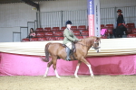 SBM_07982