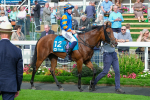 080925-Race 4-Zain Blue-9096