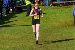 Falkirk25-929469