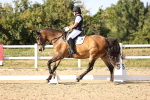 SBM_007696