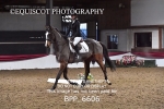 BPP_6606