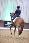 SBM_012110