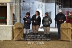 BPP_3968