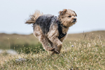 Hutton Roof-684
