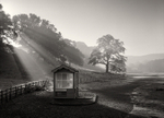 Kiosk
