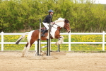 SBM_004068
