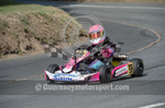 Hillclimb_02-08-2014_Kart-21