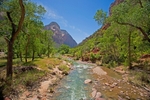 Zion Virgin River 12 x 18