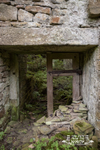 Griffe Mill 3