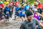 Dovedale Dash-270