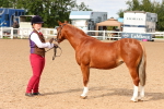 SBM_10192