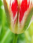 P5160212