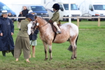 SBM_47731