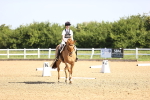 SBM_007517
