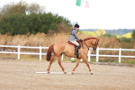 SBM_009237