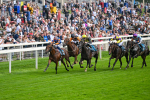 080925-Race 4-Zain Blue-7609