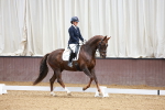 SBM_001817