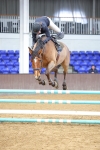SBM_009672