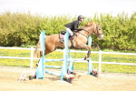 SBM_001988